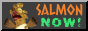 Splatoon Salmon Run button